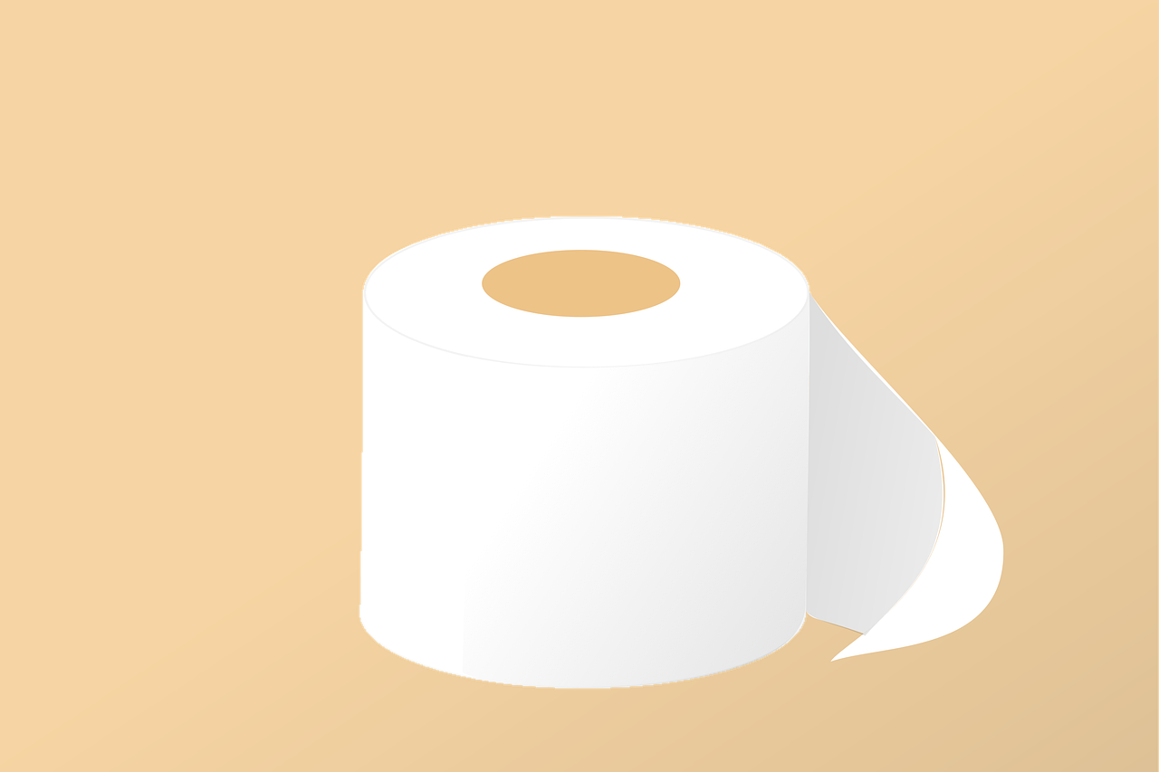 Picture of toilet roll